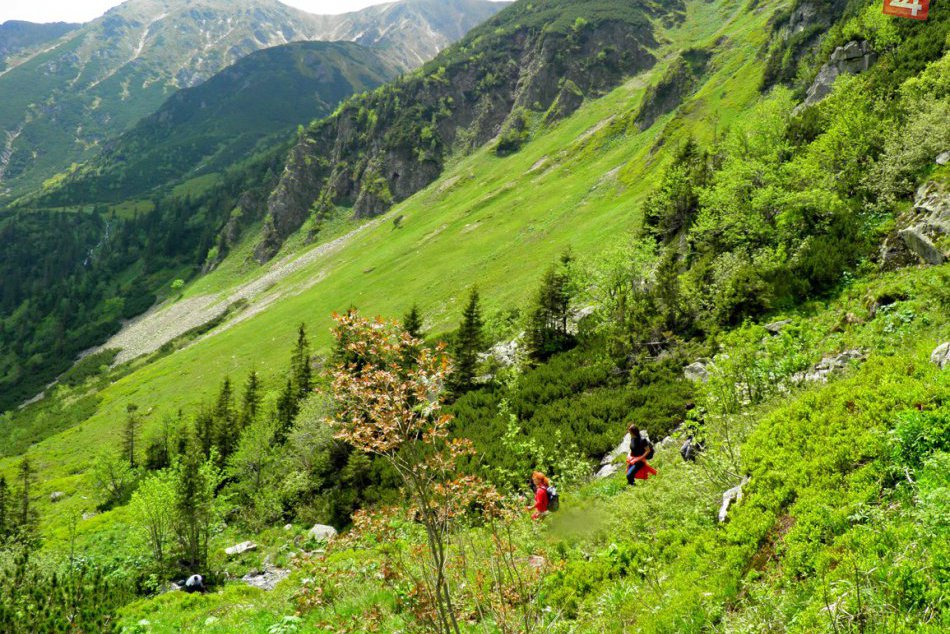 Ilustračný obrázok k článku Nebaví vás vysedávanie pri vode? 5 túr v okolí Brezna, ktoré sa oplatí vyskúšať