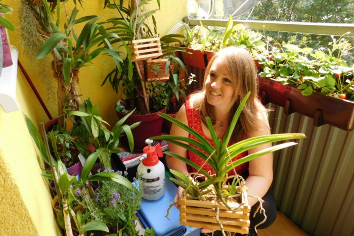 Ilustračný obrázok k článku Byt Mirky zo Spišskej je pastvou pre oči: Kvetinová nádhera na pohľadanie! FOTO