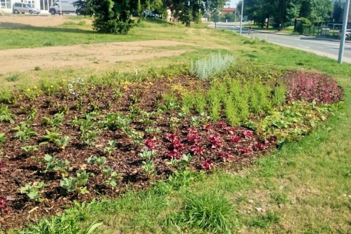 Ilustračný obrázok k článku Ďalšia zmena v Prešove: Na Levočskej už nenájdeme srdce z kvetov, ani smajlíka