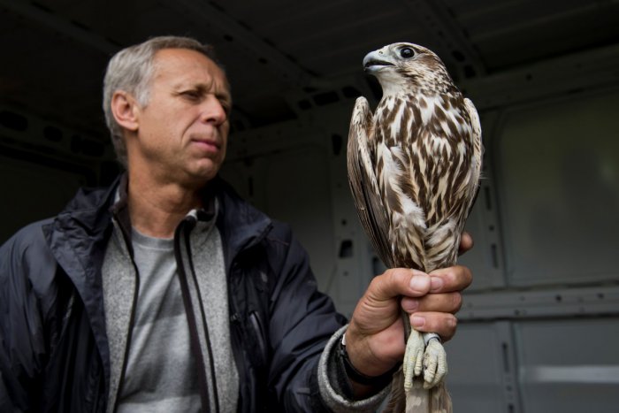 Ilustračný obrázok k článku Doprajte deťom nezabudnuteľné leto: TOP 5 atrakcií a podujatí v Košiciach a okolí