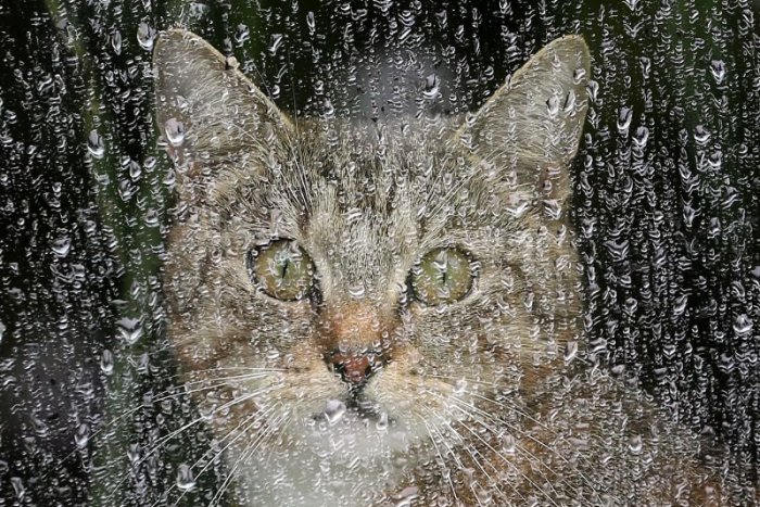 Ilustračný obrázok k článku RANNÁ ŠTVORKA: Ochladenie pokračuje aj dnes, slniečka si neužijeme