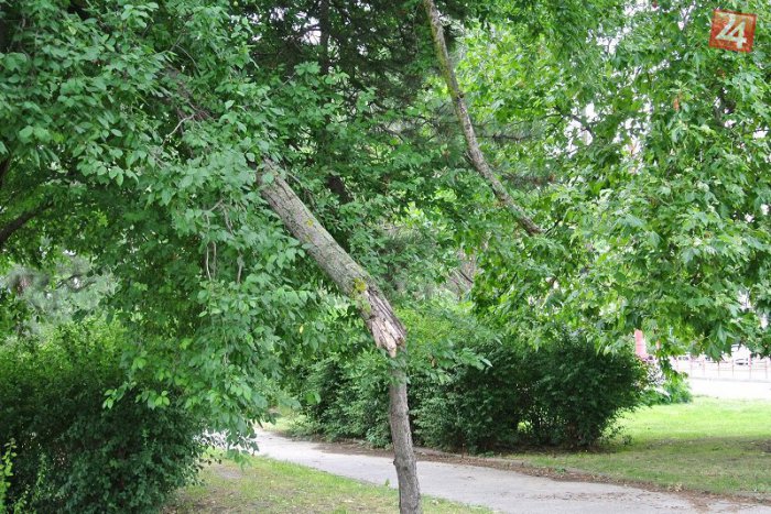 Ilustračný obrázok k článku Hrozba zhora