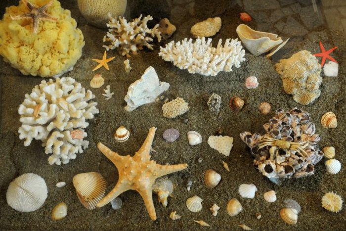 Ilustračný obrázok k článku Slováci sú často dovolenkoví "pašeráci". Čo najčastejšie dovážajú?