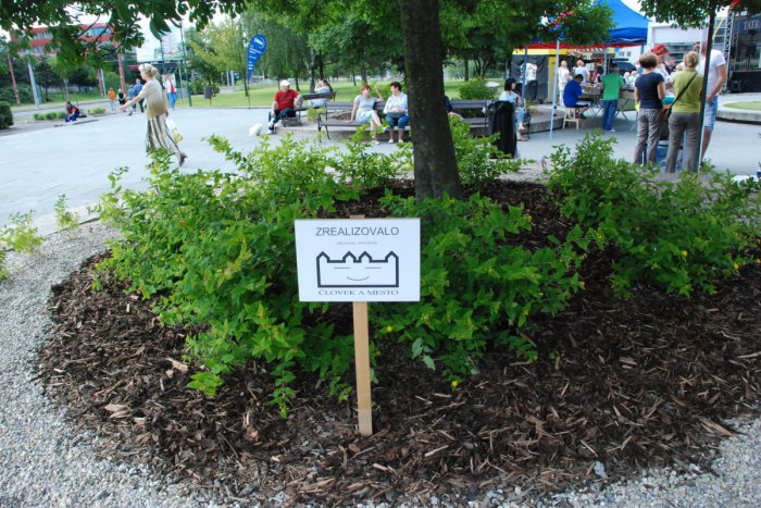 Ilustračný obrázok k článku Po kvetoch, strome smerujú do záhrad