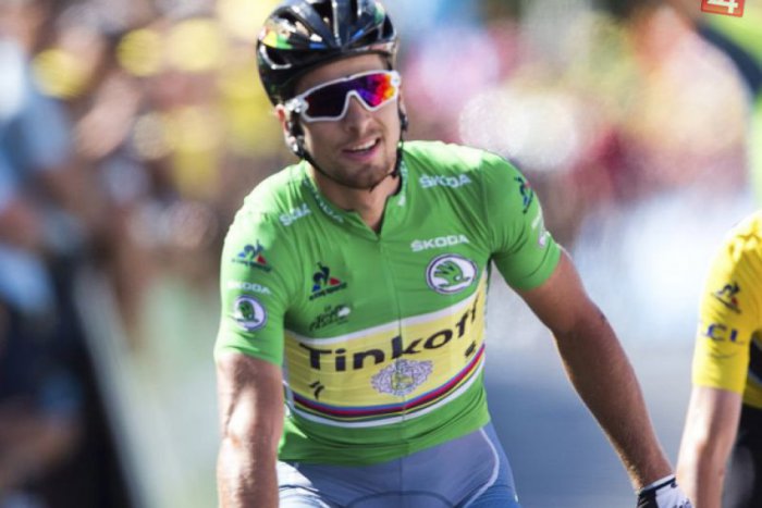 Ilustračný obrázok k článku Koľko stojí tréning a výchova nového Petra Sagana