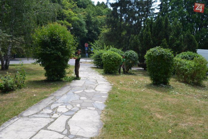 Ilustračný obrázok k článku Adopciou zelene môžete aj vy prispieť k skrášleniu mesta