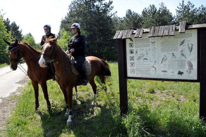 Ilustračný obrázok k článku Vo Vrakunskom lesoparku bude pôsobiť jazdná polícia