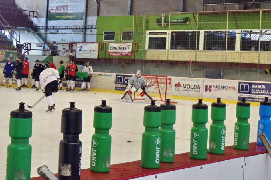 Ilustračný obrázok k článku Mikešov tím v Nových Zámkoch sa rozrástol: Nový asistent bude i trénerom brankárov