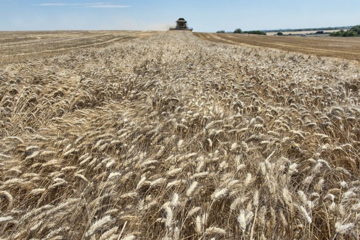 Ilustračný obrázok k článku Sucho sa podpísalo na úrode: Slovenskí poľnohospodári rátajú straty