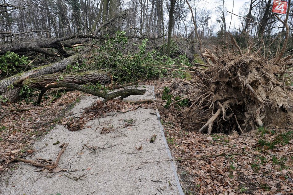Ilustračný obrázok k článku Fabienne zasiahla Česko: Výpadky elektriny a stromy na tratiach