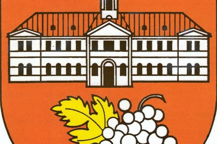 Ilustračný obrázok k článku V erbe Nového Mesta mohla byť aj skúmavka a panelák