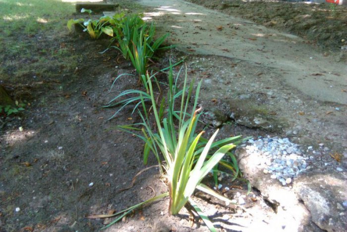 Ilustračný obrázok k článku FOTO: Práce na Strande sa zastavili. Vrátia sa ešte dobrovoľníci na legendu Lučenca?