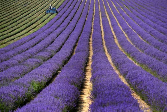 Ilustračný obrázok k článku RANNÁ ŠTVORKA: Stred týždňa bude horúci, niekde aj s búrkami