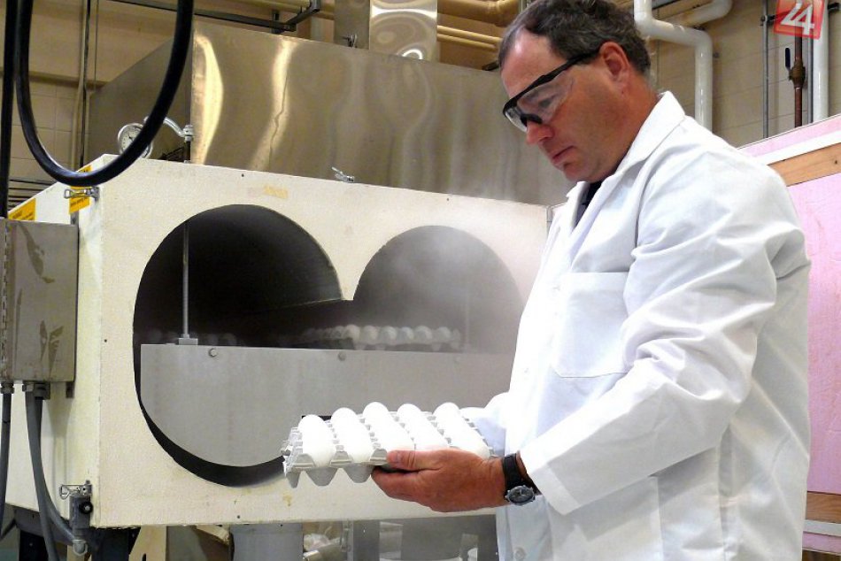 Ilustračný obrázok k článku Nález inšpektorov: Kontaminované holandské vajcia sú už aj na Slovensku!