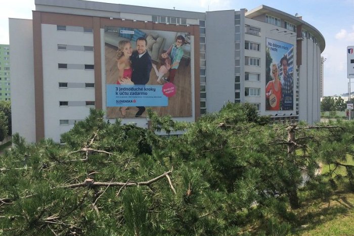 Ilustračný obrázok k článku Vrahovia zelene zbavujú ulice Bratislavy života