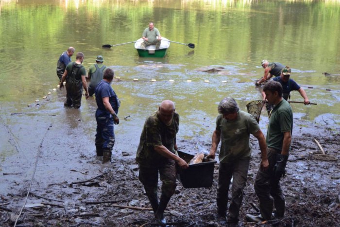 Ilustračný obrázok k článku Mestské lesy v Bratislave začali s rekonštrukciou vodných nádrží na Železnej studienke