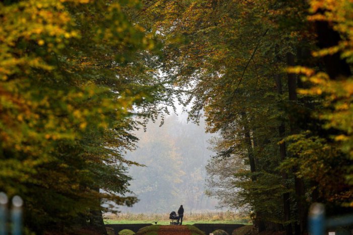 Ilustračný obrázok k článku Podarí sa zachrániť Gaštanicu na Kolibe?