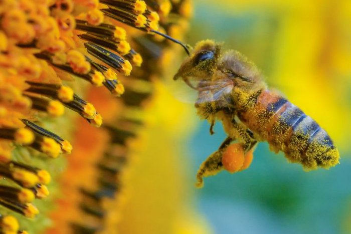 Ilustračný obrázok k článku RANNÁ ŠTVORKA: Posledný júlový víkend bude horúci, užijeme si slnečné dni