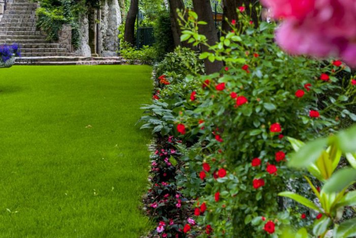 Ilustračný obrázok k článku Zápisník záhradkára: Ako vypestovať anglický trávnik a kvety, ktoré vyrazia dych