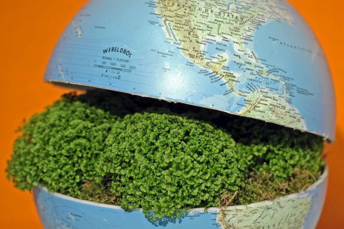 Ilustračný obrázok k článku RANNÁ ŠTVORKA: Pekné počasie a krásny svet v podaní najznámejšieho trubkára