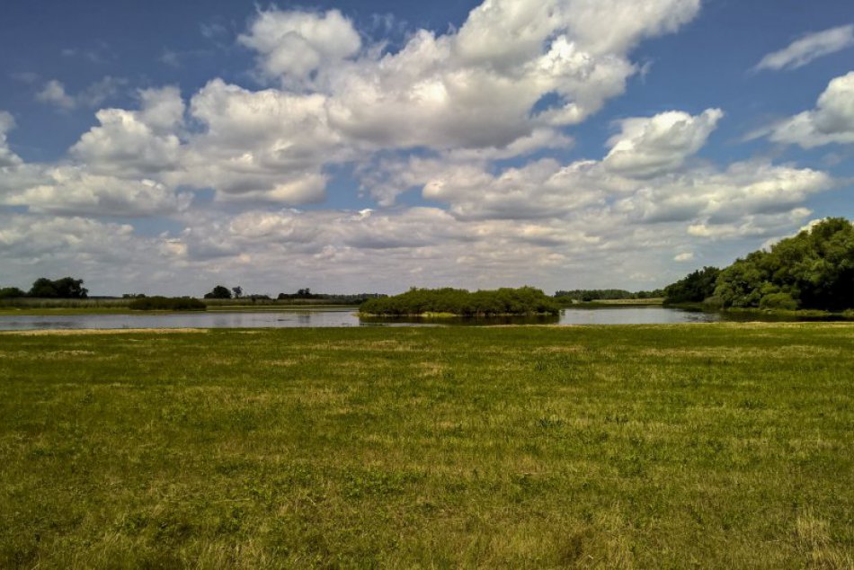 Ilustračný obrázok k článku Obnovu lúk na Devínskej Kobyle si pozrel aj európsky komisár K.Vella