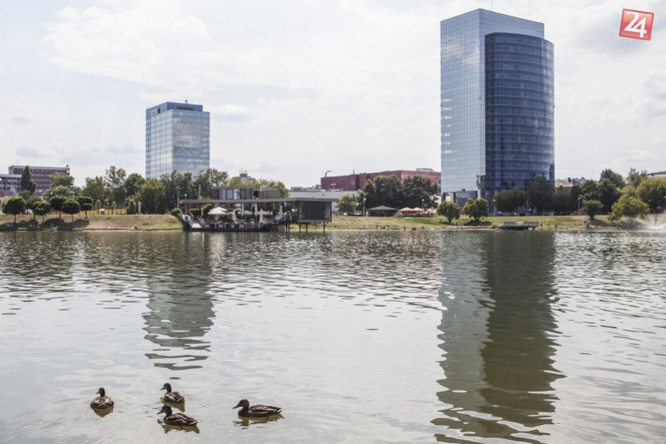 Ilustračný obrázok k článku Zákaz kúpania na Kuchajde naďalej trvá, kvalita vody je nevyhovujúca