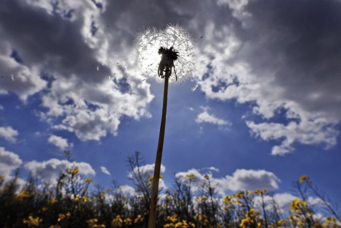 Ilustračný obrázok k článku RANNÁ ŠTVORKA: Rannú hmlu vystriedajú oblaky