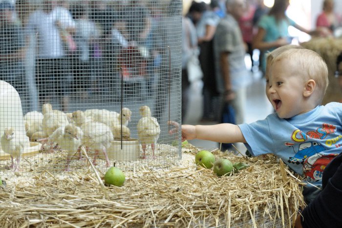 Ilustračný obrázok k článku Blíži sa výstava Agrokomplex: Pod Zobor mieri viac ako 500 vystavovateľov