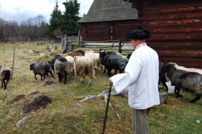 Ilustračný obrázok k článku Župa si trúfa na kultúrny milión: sme 2. najnavštevovanejším krajom hneď po Bratislave