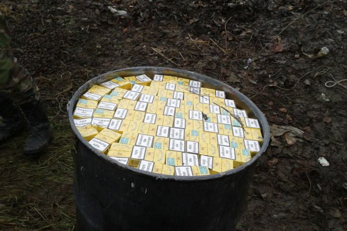 Ilustračný obrázok k článku Regionálna politička ako súčasť mafie? Šéfka Most-Híd je obvinená z podvodov!