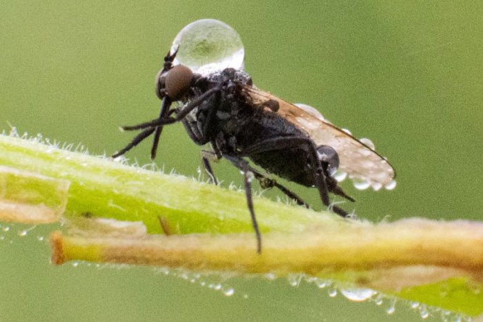 Ilustračný obrázok k článku RANNÁ ŠTVORKA: Piatok prinesie takmer zimné prízemné mrazy