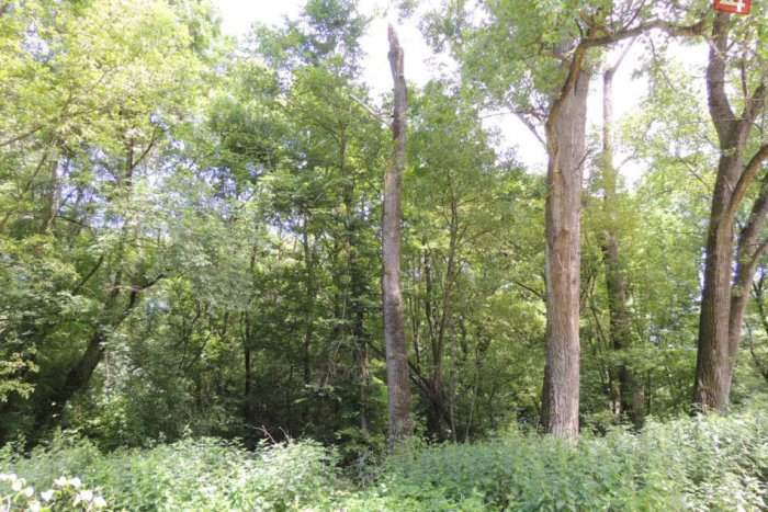 Ilustračný obrázok k článku Výmena pozemkov na ostrove Sihoť sa zatiaľ nepohla dopredu