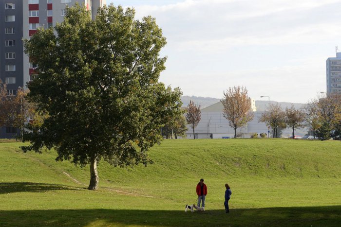 Ilustračný obrázok k článku Bratislava získala obrovskú príležitosť. Zapojila sa do prestížneho projektu