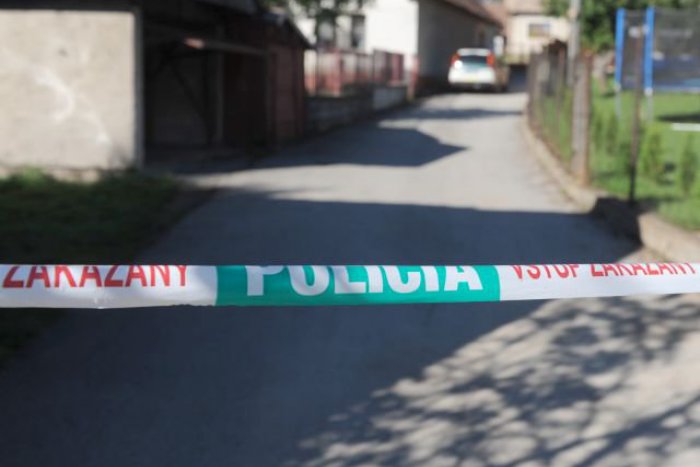 Ilustračný obrázok k článku Muž, ktorý zavraždil vlastnú matku, skončil na psychiatrii. Hrozí mu doživotie