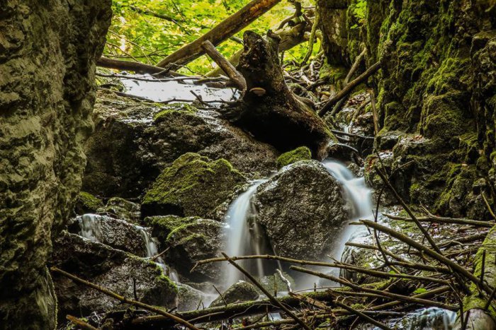 Ilustračný obrázok k článku Známa - Neznáma: Nový náučný chodník v Čutkovskej doline otvorený!
