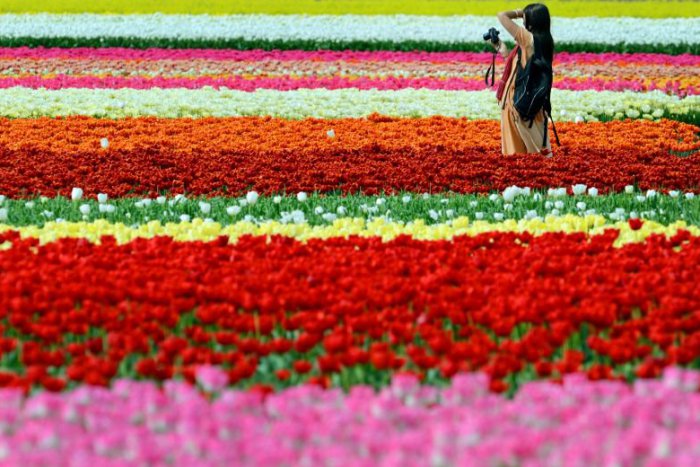 Ilustračný obrázok k článku RANNÁ ŠTVORKA: Slnečnú a teplú nedeľu pokazia aj prehánky a niekde i búrky