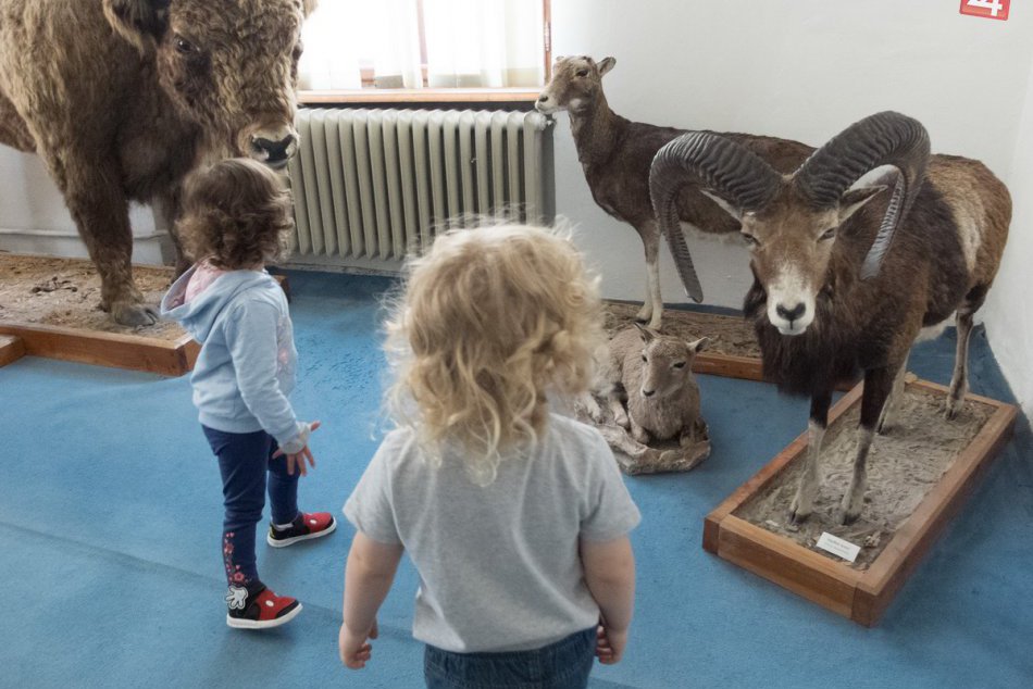 Ilustračný obrázok k článku FOTO: Prázdninové tvorivé dielne v múzeu. Deti vytvárali obľúbené zvieratká