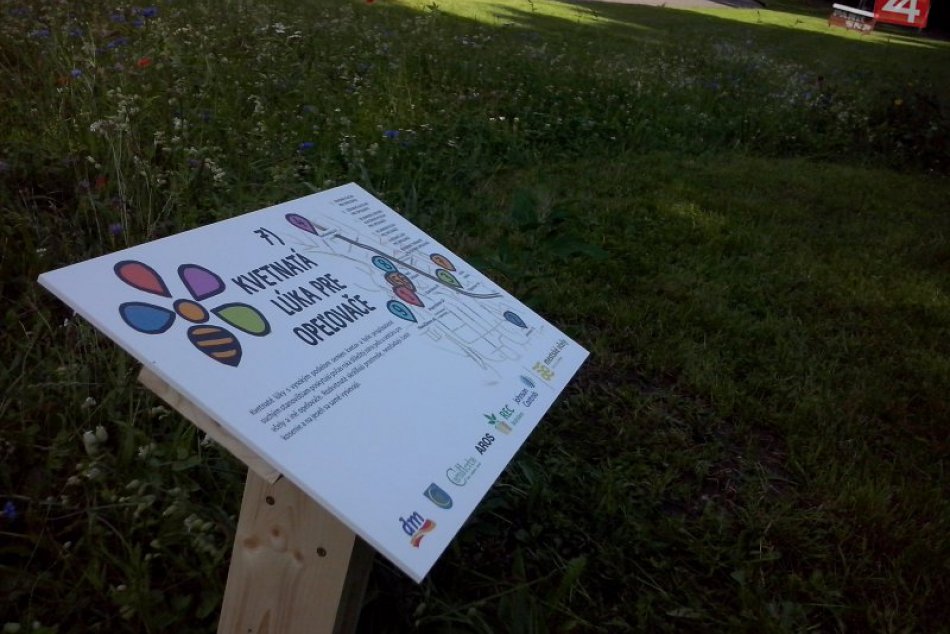 Ilustračný obrázok k článku Petržalka sa nápadu lúčnych plôch nevzdáva, prvú chce sadiť na jeseň