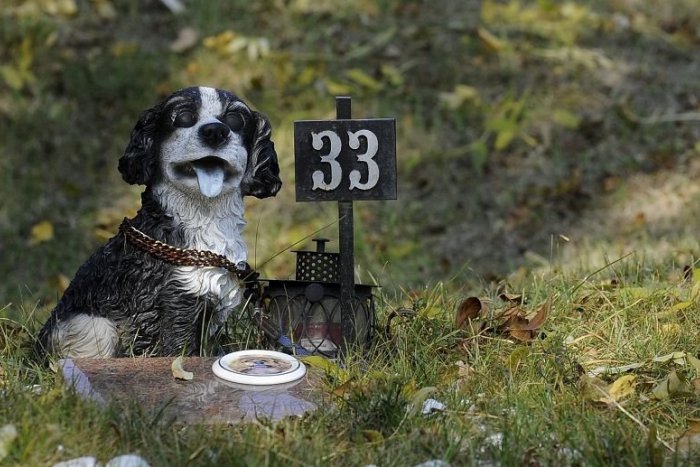 Ilustračný obrázok k článku Svojho miláčika môžete už na jeseň pochovať na zvieracom cintoríne v Bratislave