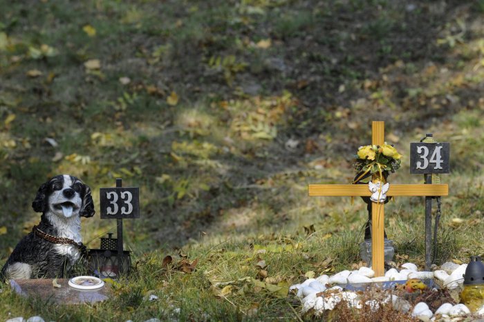 Ilustračný obrázok k článku V Trnave chcú vytvoriť zvieracie krematórium: Obyvatelia môžu vyjadriť svoj názor