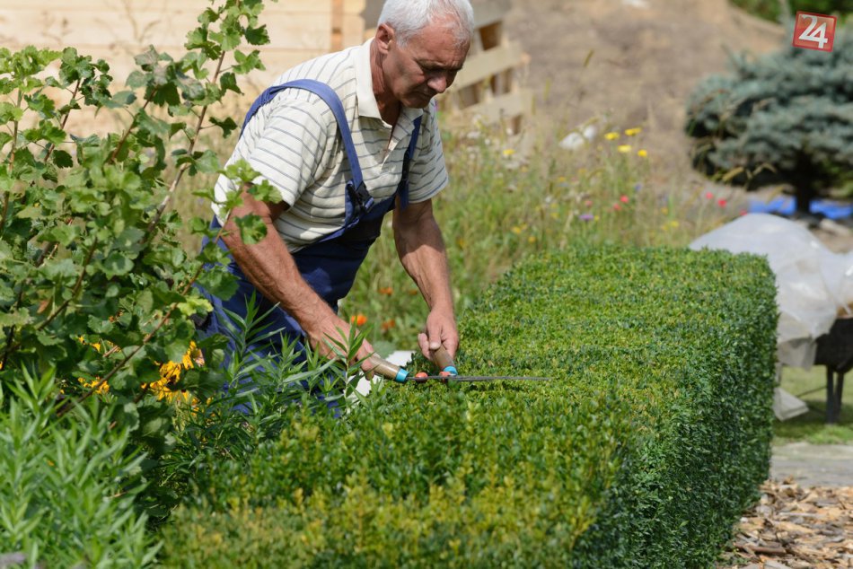 Ilustračný obrázok k článku FOTO: Agrokomplex môže začať. Prípravy na najväčšiu výstavu finišujú