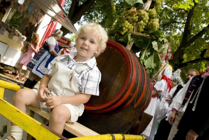 Ilustračný obrázok k článku Gurmáni si prídu na svoje: Kráľovský mok a dobroty potešia každého!