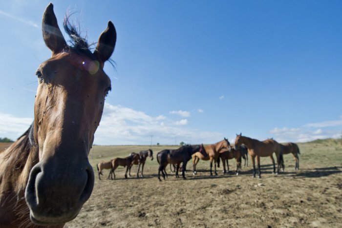 Ilustračný obrázok k článku Bohatá história: Na kopaniciach žijú potomkovia husitov