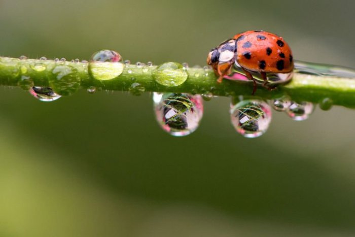 Ilustračný obrázok k článku RANNÁ ŠTVORKA: Po slnečnej sobote nás čaká chladný deň s dažďom. Oslavujú Jany