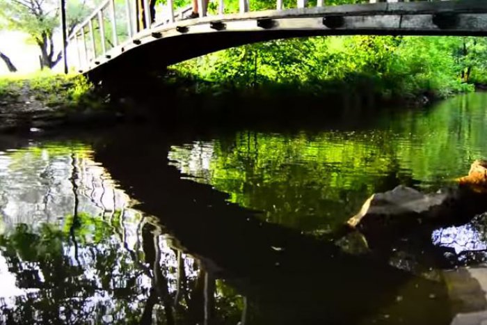 Ilustračný obrázok k článku Emotívne VIDEO z miesta, čo pozná každý Košičan: Krása okamihu v pár minútach