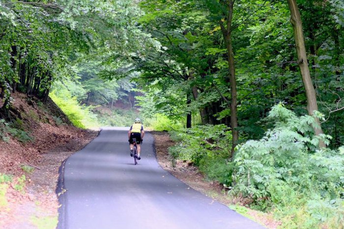 Ilustračný obrázok k článku V lesoparku zrekonštruovali takmer tri kilometre asfaltových ciest