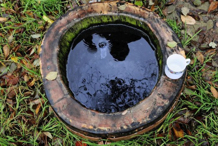 Ilustračný obrázok k článku Z KAŽDÉHO KÚTA: Príroda ukrýva poklady najmä pod zemou. Ozvala sa žltačka