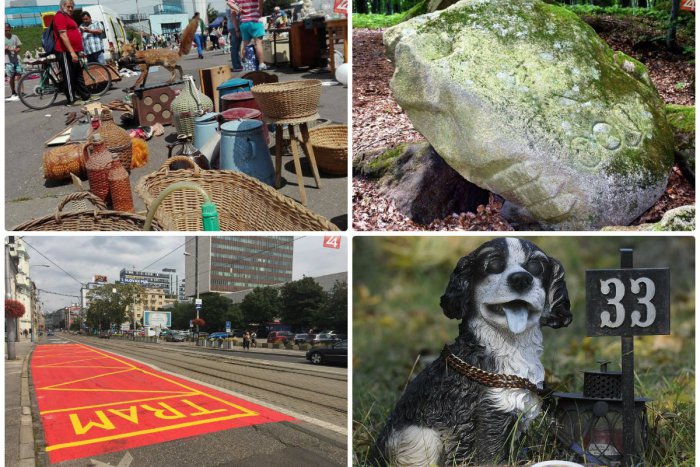 Ilustračný obrázok k článku TOP 5 tém týždňa: Blšák na Interi, zvierací cintorín či chýbajúce petičné hárky