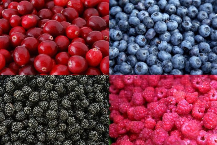 Ilustračný obrázok k článku Bobule nabité vitamínmi. Liečia, pomáhajú chudnúť, sú mimoriadne chutné