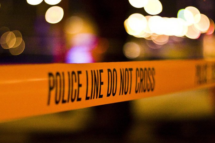 Ilustračný obrázok k článku SVET O SLOVENSKU: Američania nám vrátili nebezpečného lupiča